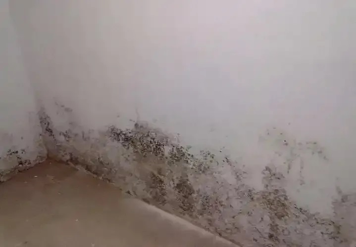 防水≠防滲！80%的人都弄錯(cuò)了！